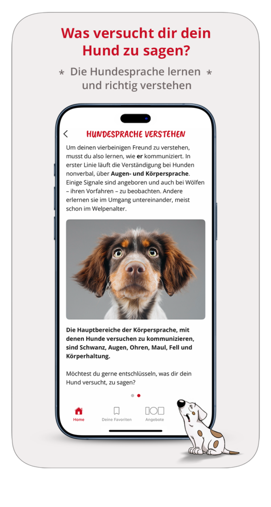 Hundesprache lernen